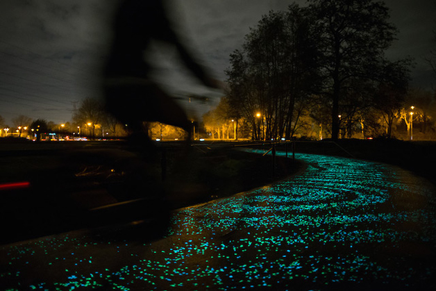 portalraizes.com - Holanda cria ciclovia que brilha no escuro inspirada na arte de Van Gogh