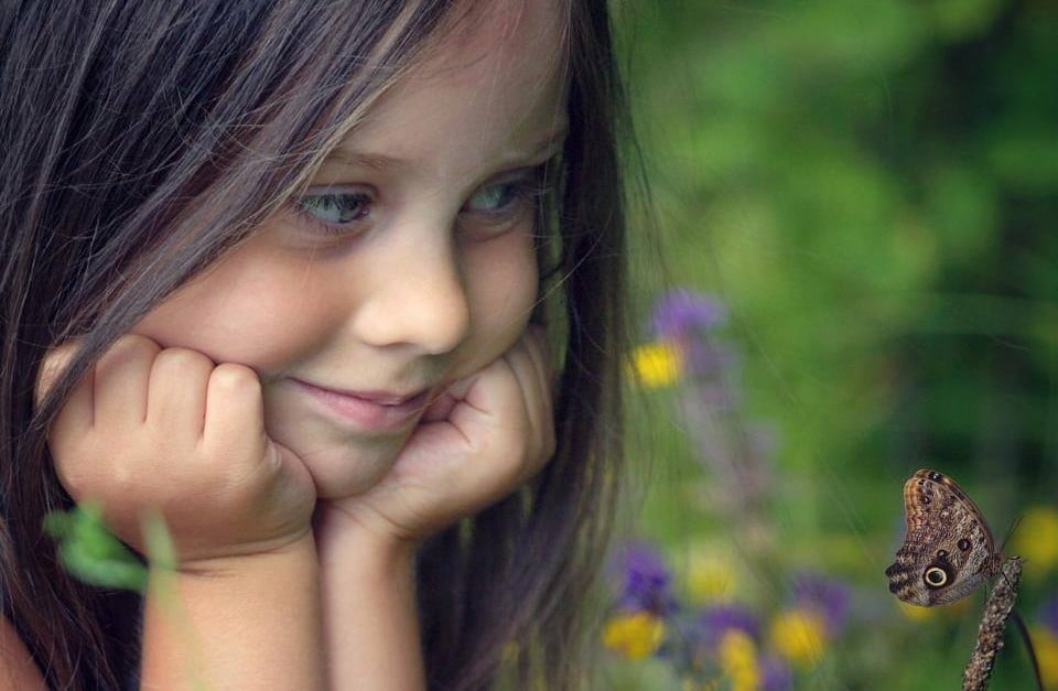 dee4183b3eece6f1f1fda5b7115d2824