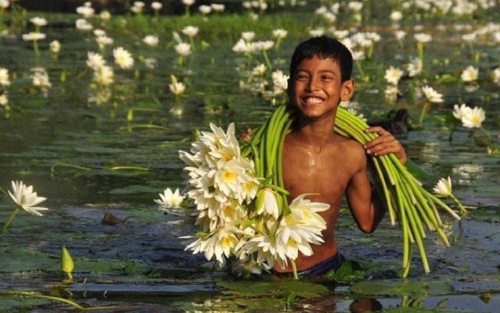 e3017719190ff1e83db12ee09e7beada