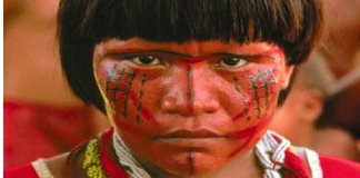 Povos originários viviam na Amazônia 11 mil anos antes da chegada dos colonizadores