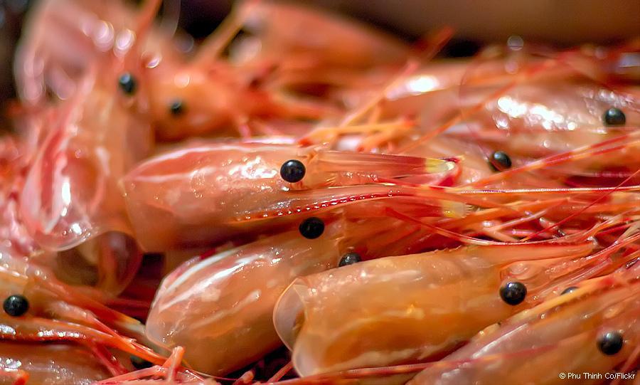 Por que é uma boa ideia parar de comer camarão