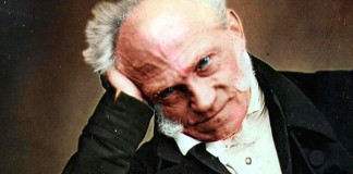 21 Frases  ferinas de Schopenhauer