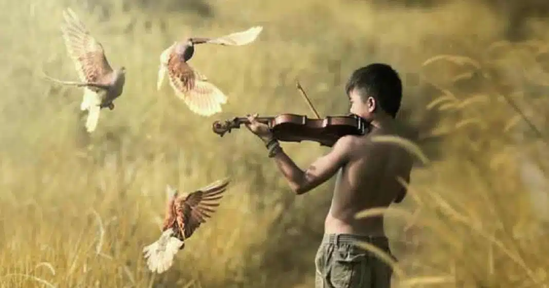 lindo Truques infalíveis para convencer alguém sobre qualquer coisa