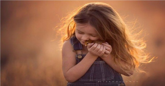 Lisa Holloway