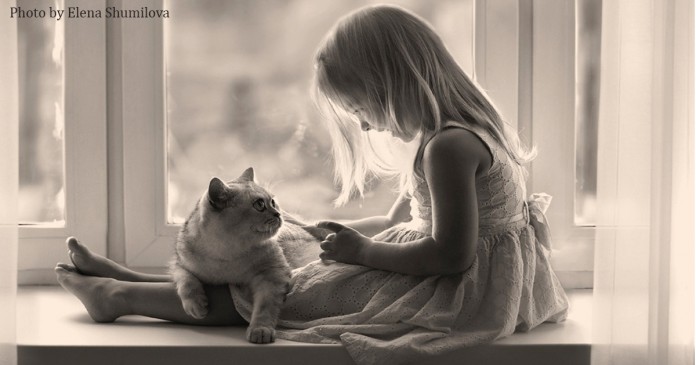elena-shumilova-cat-photography-7