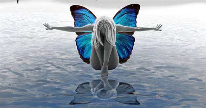 borboleta-imagem-gotica