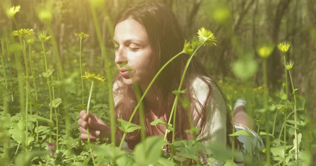 Estudos comprovam que o cheiro da natureza pode curar