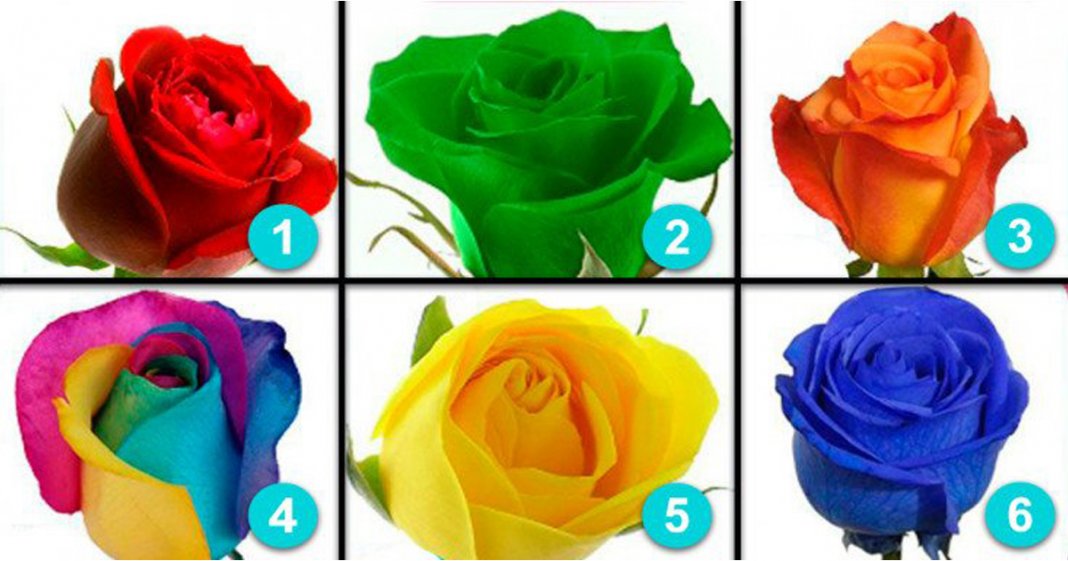 Escolha uma rosa e conheça um pouco mais sobre a sua personalidade