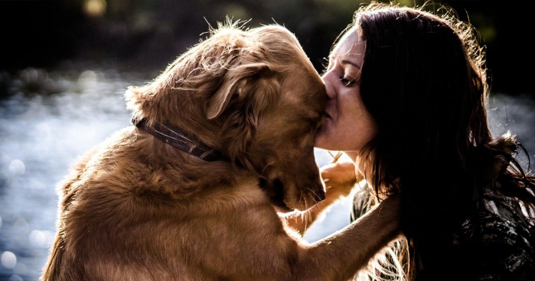 Segundo estudo, amor entre cachorro e dono é igual de mãe e filho