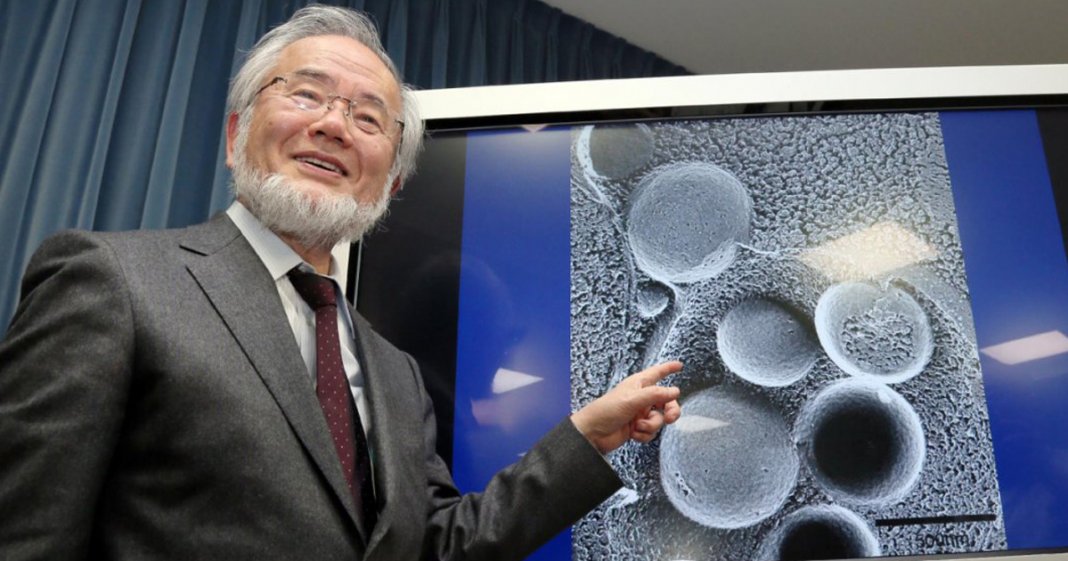 Jejum é muito melhor do que comer a cada 3h, diz Nobel em medicina