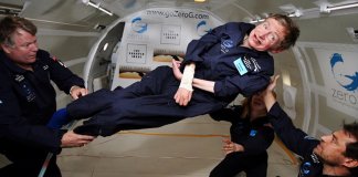 Cinzas de Stephen Hawking ficarão junto às de Darwin e Newton