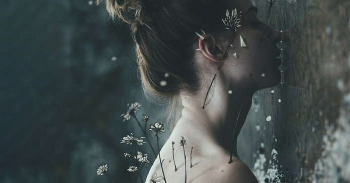 Essa foto é sua? Por favor entre em contato.