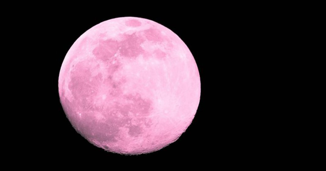 Como a Lua Rosa de abril mexerá com sua vida amorosa (de 5 signos em especial)