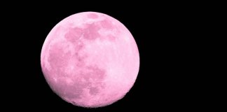 Como a Lua Rosa de abril mexerá com sua vida amorosa (de 5 signos em especial)