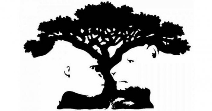 20180422-awebic-teste-revela-falhas-ocultas-da-sua-personalidade