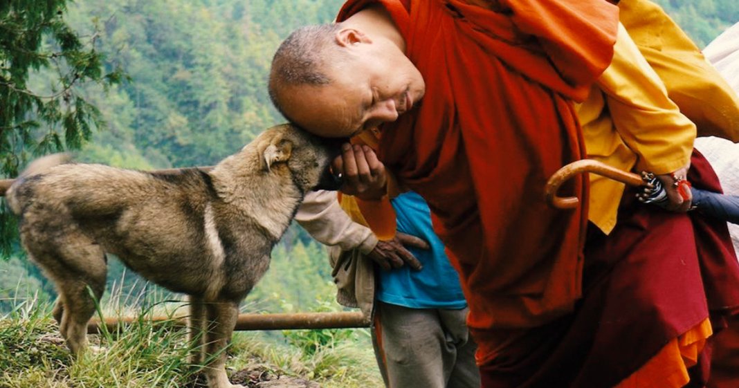 7 dicas de um monge budista para limpar a sua casa das más energias