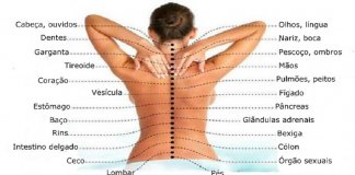 Estudos revelam a relação entre a coluna vertebral e  as doenças dos órgãos