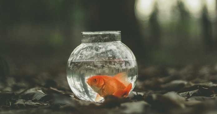 Ahmed zayan, Via Unsplash Ahmed zayan, Via Unsplash