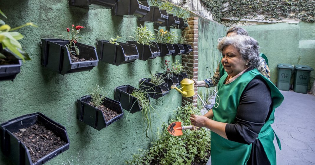 Creches para idosos começam a surgir no Rio de Janeiro