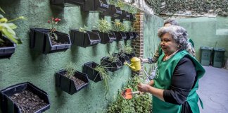 Creches para idosos começam a surgir no Rio de Janeiro