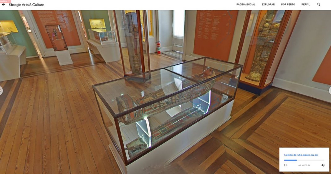 Google disponibiliza tour virtual pelo acervo do Museu Nacional antes do incêndio