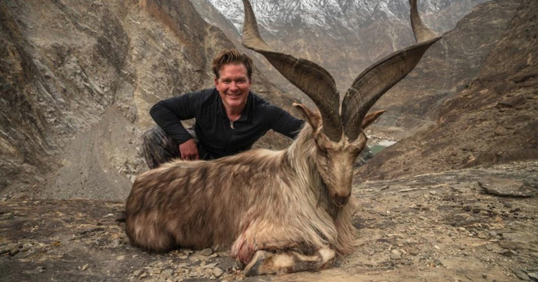 Executivo paga US$ 110 mil para matar rara cabra selvagem no Paquistão