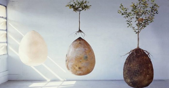 capsula-mundi