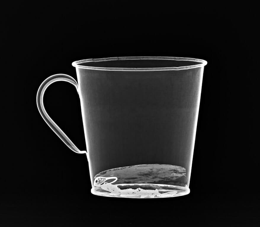 portalraizes.com - Esta caneca de um prisioneiro de Auschwitz ocultou um segredo por 70 anos