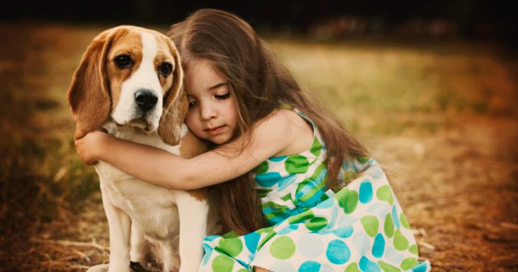 Quando tudo der errado… abrace seu cão