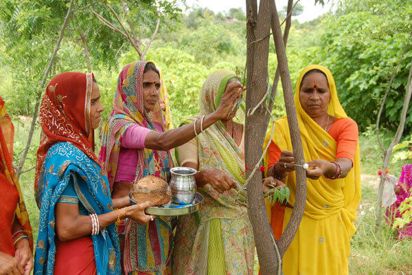 portalraizes.com - Toda vez que uma menina nasce, mulheres dessa aldeia na Índia plantam 111 árvores