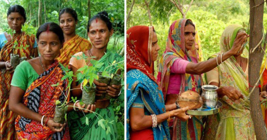 Toda vez que uma menina nasce, mulheres dessa aldeia na Índia plantam 111 árvores