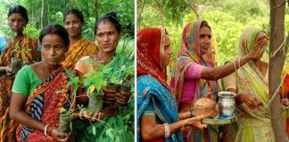 Toda vez que uma menina nasce, mulheres dessa aldeia na Índia plantam 111 árvores