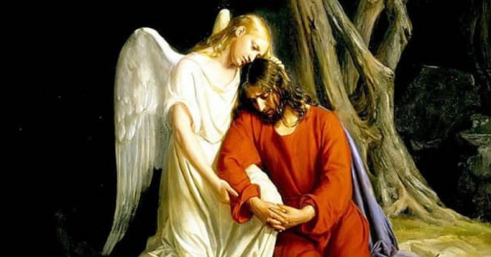 web3-jesus-in-the-garden-crying-pd