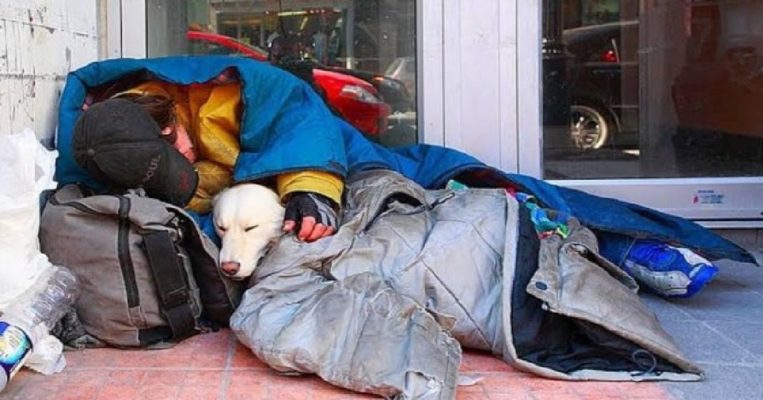 É fake que homem e cão morreram de frio, mas é verdade que moradores de rua morrem de frio