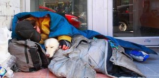 É fake que homem e cão morreram de frio, mas é verdade que moradores de rua morrem de frio