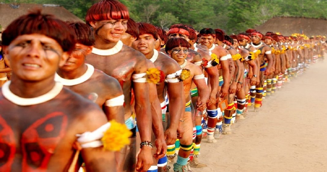 Evidências apontam Amazônia como berço de civilização