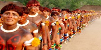 Evidências apontam Amazônia como berço de civilização