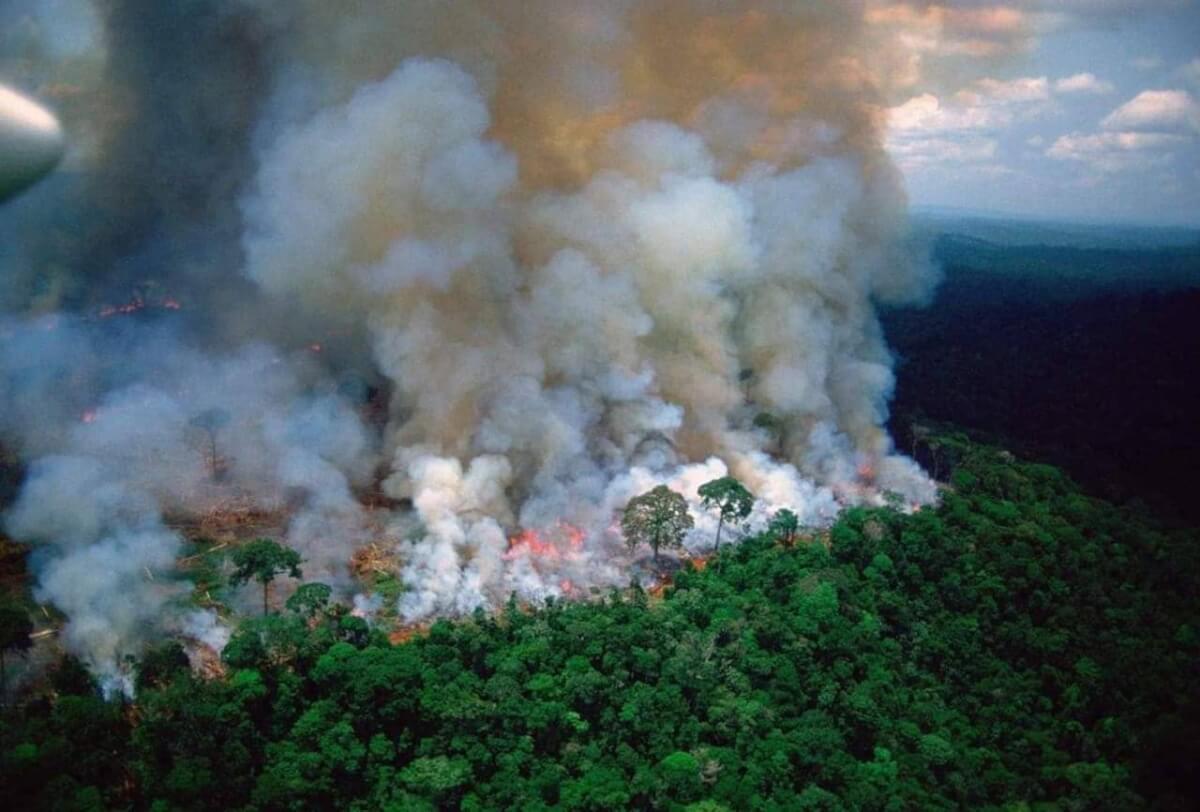 portalraizes.com - Desmatamento da Amazônia cresceu em julho 278% em relação a 2018