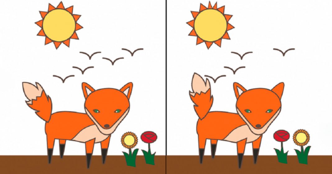 Teste de personalidade: qual diferença entre as imagens você enxerga primeiro?