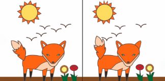 Teste de personalidade: qual diferença entre as imagens você enxerga primeiro?