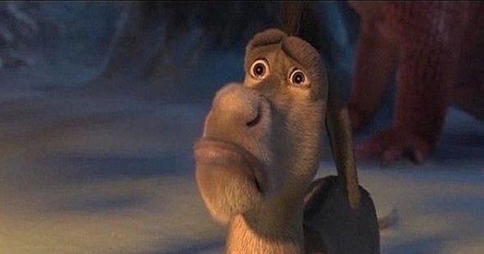 burro do sherek