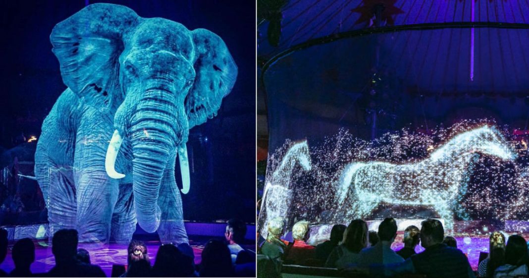 Circo alemão usa hologramas em vez de animais vivos para uma experiência mágica sem crueldade