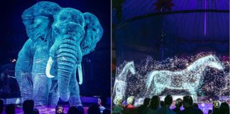 Circo alemão usa hologramas em vez de animais vivos para uma experiência mágica sem crueldade
