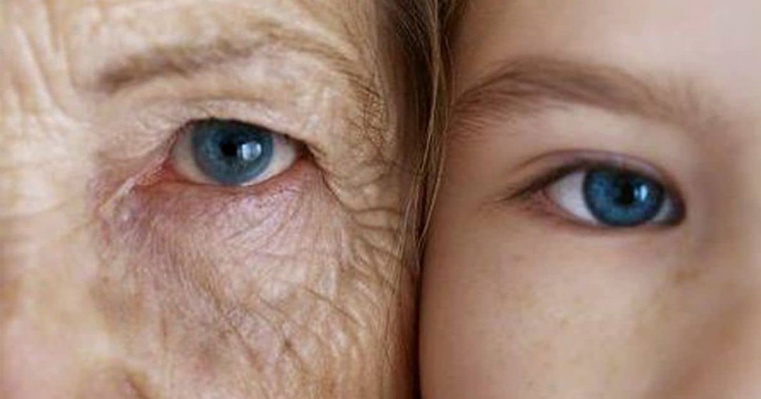 Japão descobre células da longevidade que levam idosos aos 110 anos