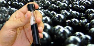 Extrato de Jabuticaba pra diabetes e gordura no fígado será comercializado