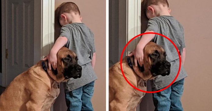 dog-in-timeout