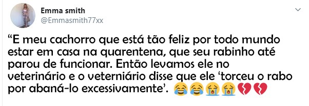 portalraizes.com - Esse cachorro está tão feliz com a quarentena que machucou o rabo de tanto balançar