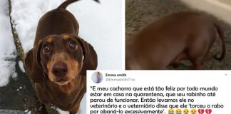 Esse cachorro está tão feliz com a quarentena que machucou o rabo de tanto balançar