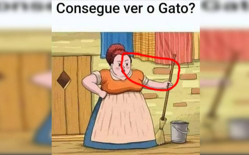 portalraizes.com - Desafio do gato faz web arrancar os cabelos. Veja a resposta!
