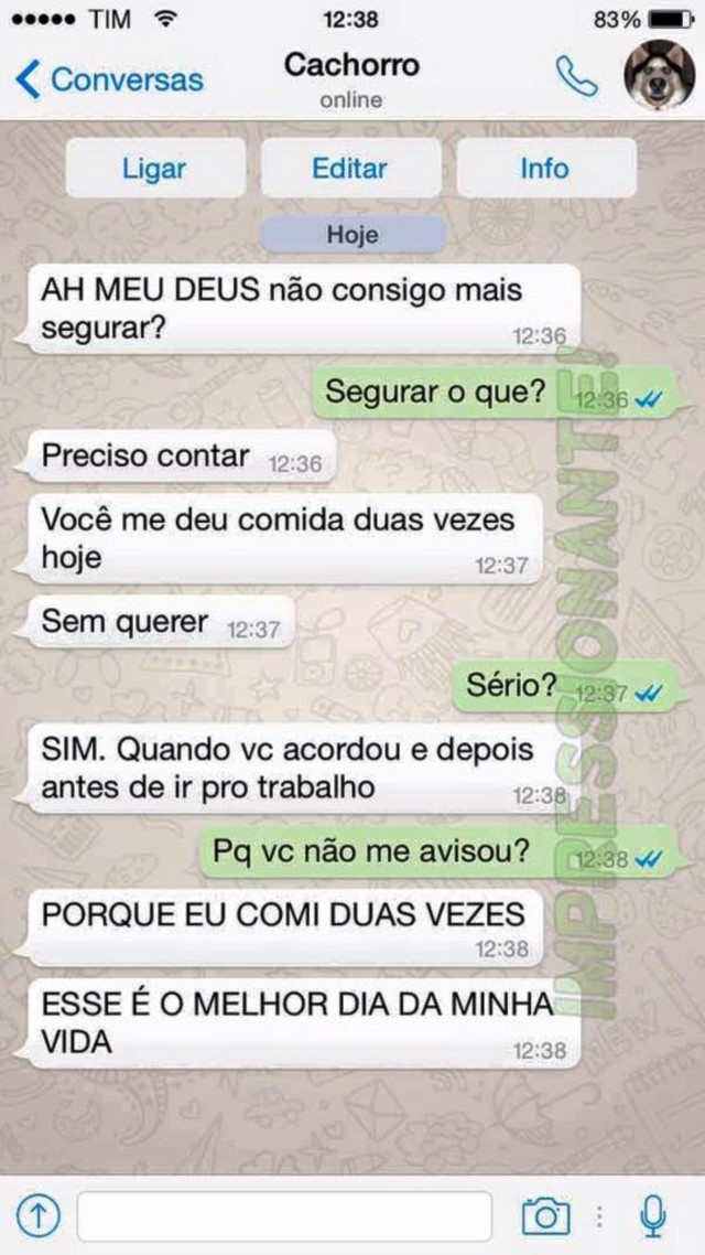 portalraizes.com - 15 conversas que você teria com seu cachorro se ele usasse WhatsApp